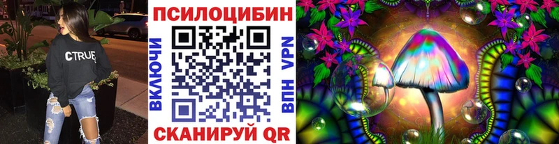 гидра вход  закладка  Терек  Галлюциногенные грибы Magic Shrooms 